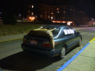 Illustration for article titled Five-Point Frenzy: When Deer Meets Car